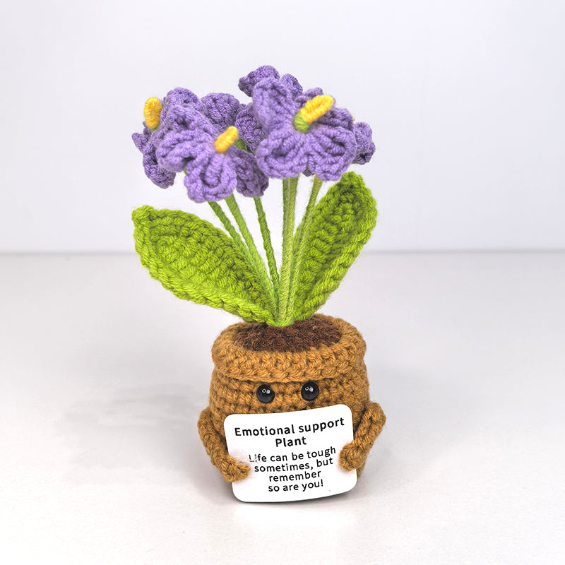 Violet Grace Gift Set Birthday Gift, Graduation Season,purple suit Grateful Warm Gift Ideas Best Friend Birthday Gift Box Lid