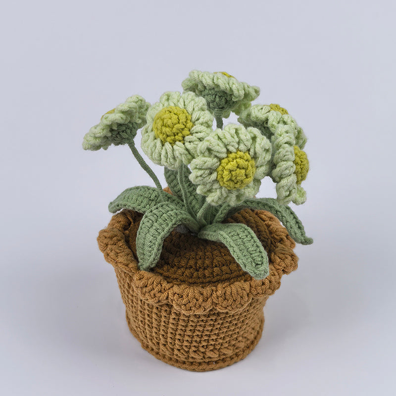 warm thank-you gift, Best Women's Gift friend gift, sisters gift, classmate gift, gift for family and relatives, birthday gift Hand woven small daisy yarn potted plant as a commemorative gift for teachers and friends