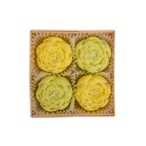 Green Serenity Gift Set Sending sunshine gifts, thanking friends for gifts,Funny Birthday Gift For girl,Sister Gifts, For Friend Gift Box For Her,Sending A Hug, Thank You Gift, Care Package