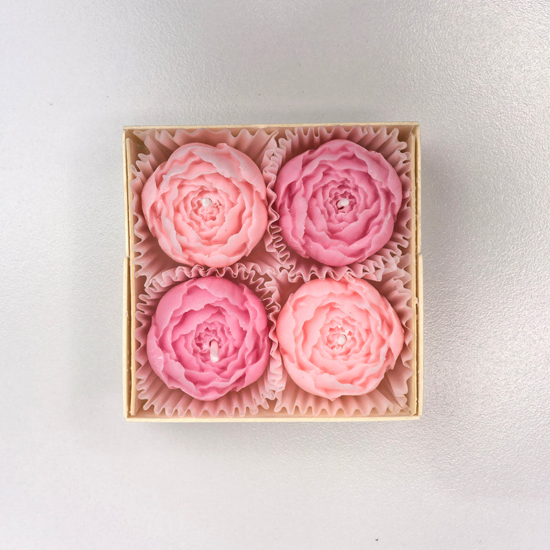 Blush Bloom Gift Set Birthday Gifts for Her Personalised Hug in a box,Sending sunshine gift,Emotional support plant gift box,Hygge gift box,Thank you for helping me grow Thinking Of You Gift Box Gift for Her